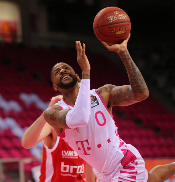 熊精彩瞬间 熊精彩瞬间